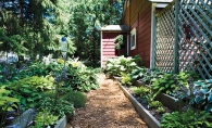 A garden featuring hostas, edibles, astilbe and hydrangeas.