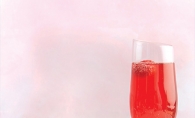 Raspberry Lime Ginger Beer Cocktail