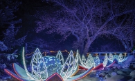 The Winter Lights display at the Minnesota Landscape Arboretum.