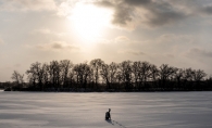 The Tranquility of Winter Walks