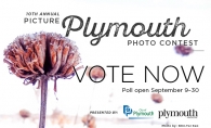 A graphic advertising voting for the 2019 Picture Plymouth photo contest.