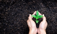 A gardener plants a plant in soil.