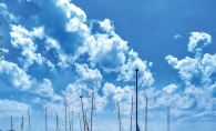 Docked sailboats at Clifton E. French Regional Park.