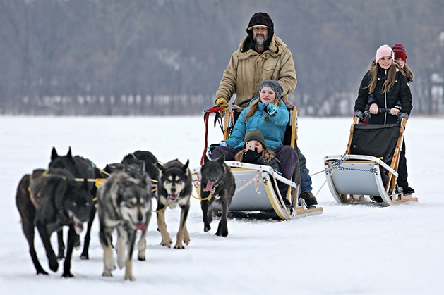 Sled dog rides at Plymouth's Fire & Ice Festival