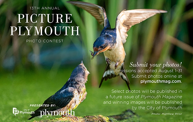 Picture Plymouth 2022 Photo Contest.