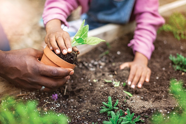 Someone plants a plant at Plymouth's community garden.