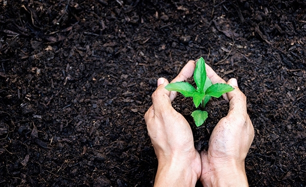 A gardener plants a plant in soil.