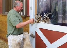 Spring Farm Sanctuary