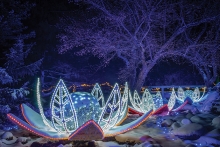 The Winter Lights display at the Minnesota Landscape Arboretum.