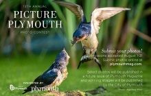 Picture Plymouth 2022 Photo Contest.