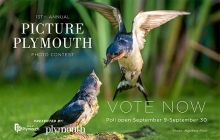 Vote for your readers' choice winner for Picture Plymouth 2022.