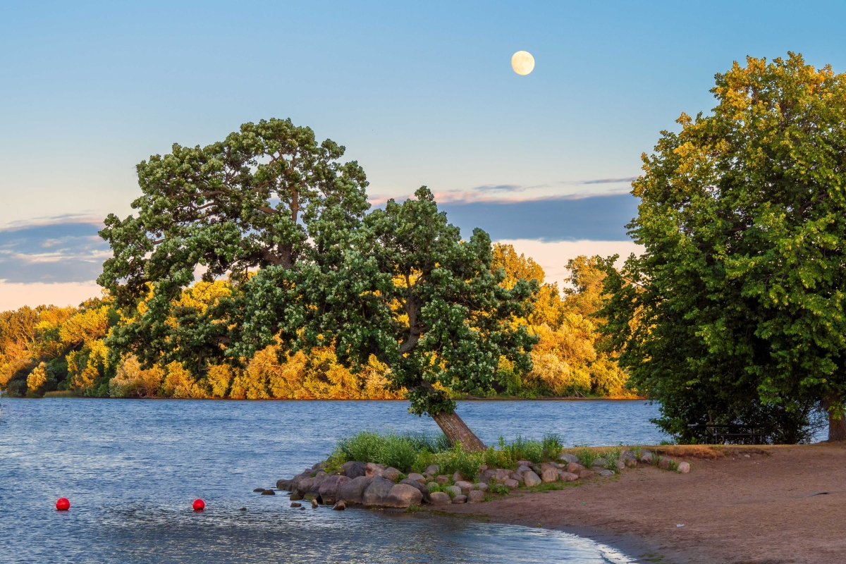 Moonrise in West Medicine Lake Park