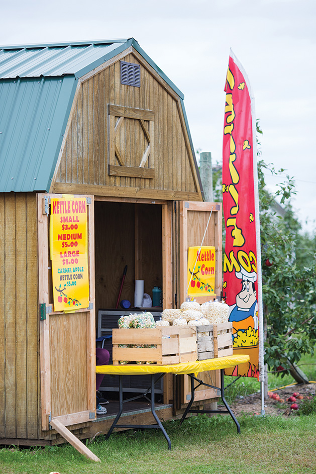 Apple Jack Orchards