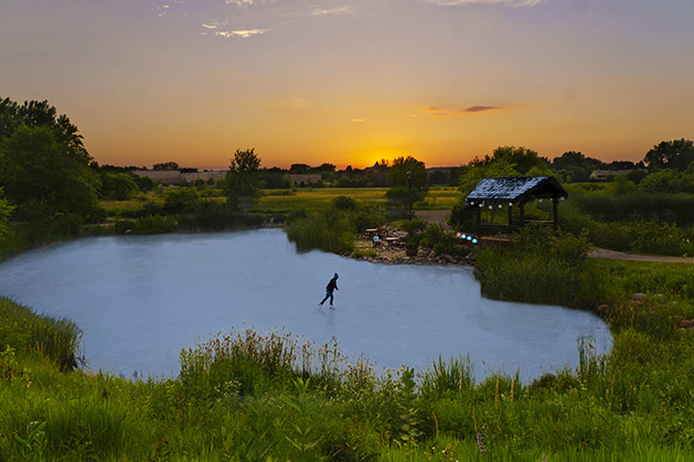 A skater on the pond at Millennium Gardens