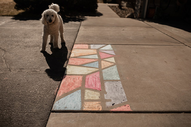 The Grocholski family dog poses by the sidewalk chalk mural.
